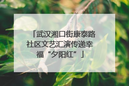 武汉湘口街康泰路社区文艺汇演传递幸福“夕阳红”